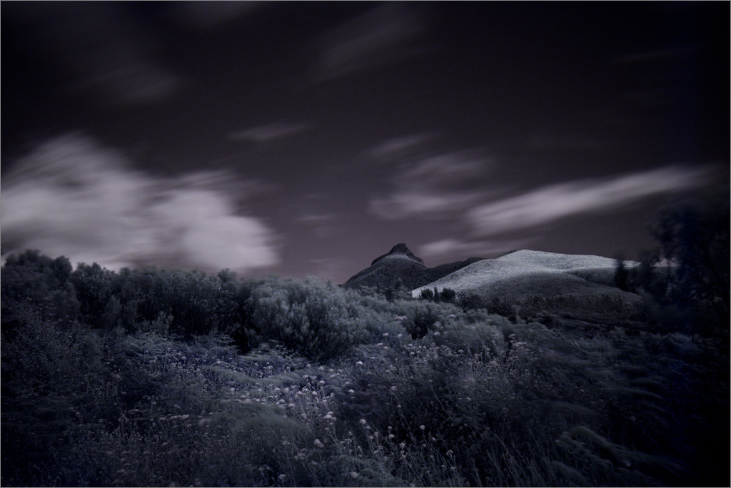 infrared photography fuji x-t1