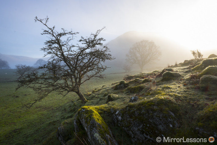 zeiss-touit-12mm-review-40-720x480